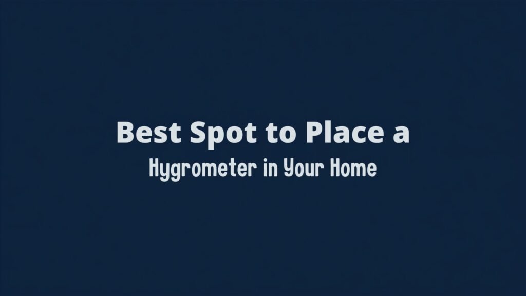 Best Spot to Place a Hygrometer in Your Home