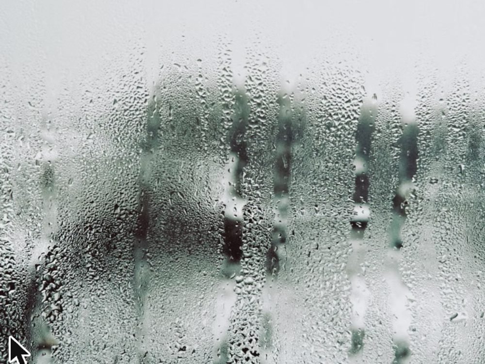 Condensation forming on the inside of a cold window pane