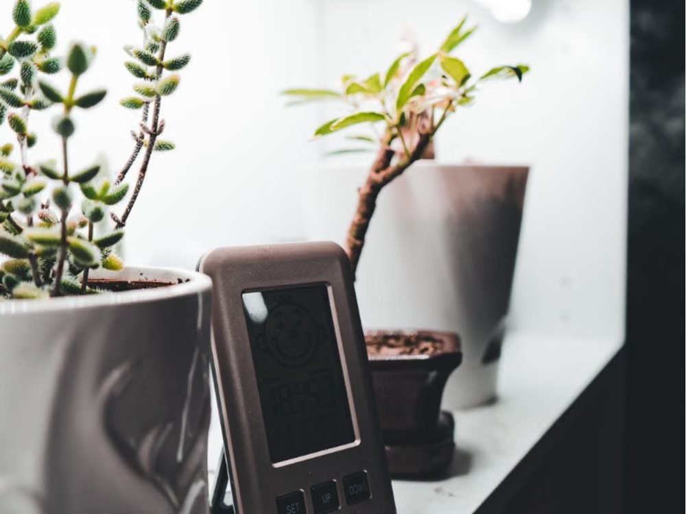 Digital hygrometer on a living room shelf showing a low indoor relative humidity reading